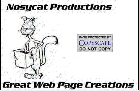 Another Great Web Page By Nosycat Productions 