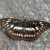 Black Vein Sargeant Black Vein Sargeant