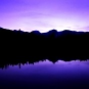 surfin4dough lm profile image