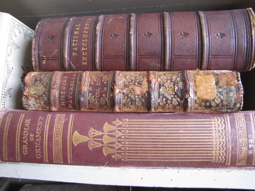 I love the old leather bound books or ones with gilt lettering. 