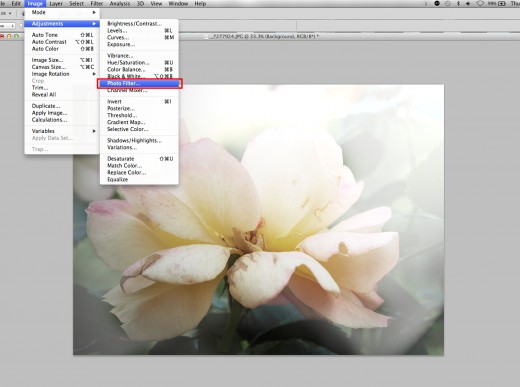 Add warmth or coolness to images using the photo filter options