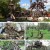 Yard art sculpted from various metals. Yard art sculpted from various metals.