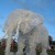Plastic bottle elephant Plastic bottle elephant