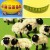 Awesome disguise for those yucky foods kids won't eat! Awesome disguise for those yucky foods kids won't eat!
