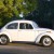 My sister had a blue VW. All of us piled in to it going to grandma's for Christmas and followed Mom and Dad. She hit a skunk, which filled up that little thing fast, which started my brother's nose to bleed, and it was freezing cold! My sister had a blue VW. All of us piled in to it going to grandma's for Christmas and followed Mom and Dad. She hit a skunk, which filled up that little thing fast, which started my brother's nose to bleed, and it was freezing cold!