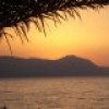 cyprusblog profile image