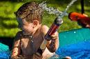 Soak them with a watergun!