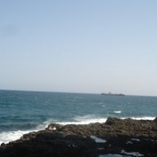 Samiya profile image