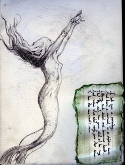 Mermaid Origins: The Aquatic Ape Theory