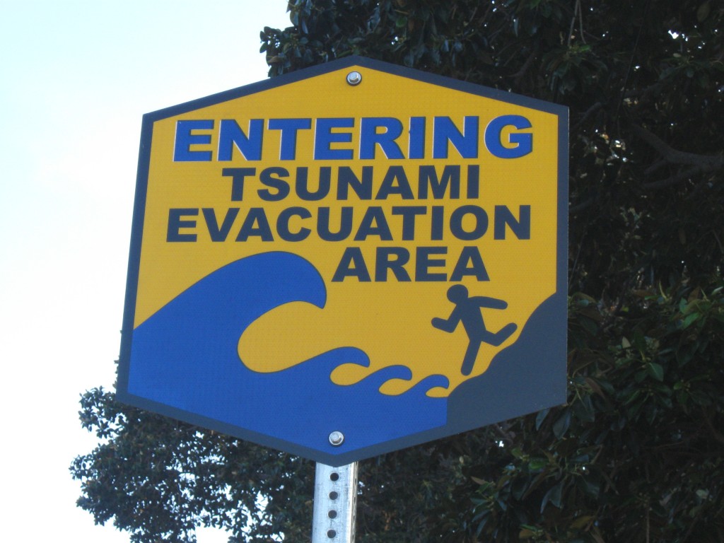 Hawaii tsunami princeville