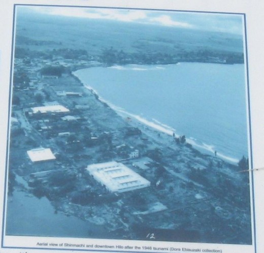 Blow-up of  aerial photo of coast line by Shinmachi neighborhood in Hilo, Hawaii following 1946 tsunami.