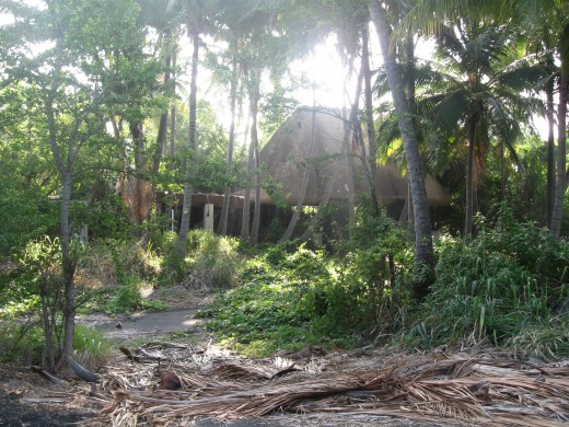 Jungle covered remains of original Sea Mountain Resort at Panalu'u, Hawaii
