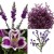 Some wholesale flower sellers provide filler 'packs' of flowers you can use to add color to arrangements and bouquets. Add them to white or purple flowers, or simply add them to greenery. Some wholesale flower sellers provide filler 'packs' of flowers you can use to add color to arrangements and bouquets. Add them to white or purple flowers, or simply add them to greenery.