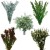 When you choose a wholesale flower company you'll find some charge by the bunch and add shipping, while others have a minimum order (usually around $100) which includes shipping. Rather than buying a lot of a single type of greenery, you mind it most When you choose a wholesale flower company you'll find some charge by the bunch and add shipping, while others have a minimum order (usually around $100) which includes shipping. Rather than buying a lot of a single type of greenery, you mind it most