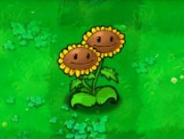 plants vs zombies 1 will sunflowers give sun at night