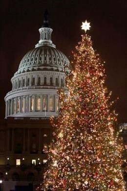 Washington DC Xmas tree