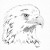 Eagle head inked with dots. Eagle head inked with dots.