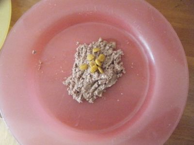 Here is a picture of the food we feed him
