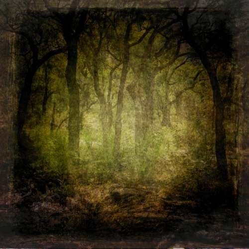 Image by Brenda Starr