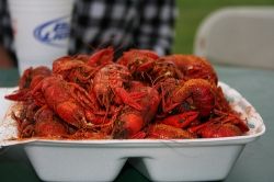Crawfish