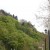 Symonds Yat Rock from the Saracens Head car park. This is a good place for camping and caravans as well. Symonds Yat Rock from the Saracens Head car park. This is a good place for camping and caravans as well.