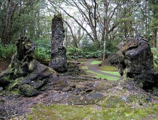 Lava Tree Along Trail