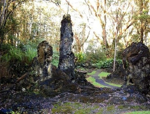 Lava Tree State Park Loop Trail in Puna Hawaii