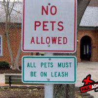 Leniency for pets with leashes.