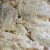 Spread the mayo over the chicken evenly.  Do not turn chicken over.