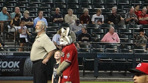 Baxter the Arizona Mascot