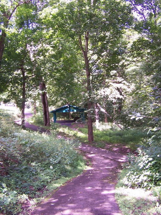 He will walk with you, no matter what your path in life. 