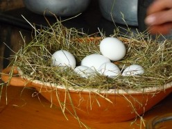 How Many Residual Income Sites Should You Write At: Splitting Your Eggs Into Different Baskets