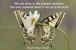 The Four Frames of Reference of Mindfulness