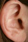 The Ear