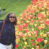 spicegal profile image