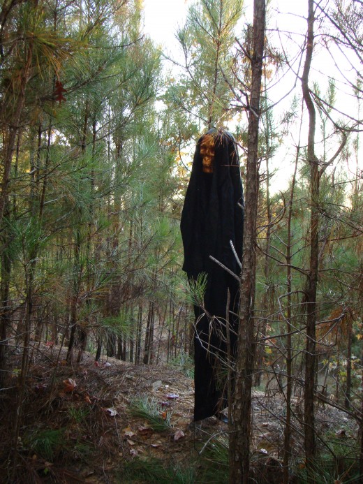 I'd be pretty scared if I met this in the dark!