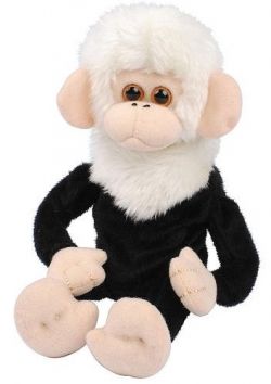 Dave The Funky Monkey