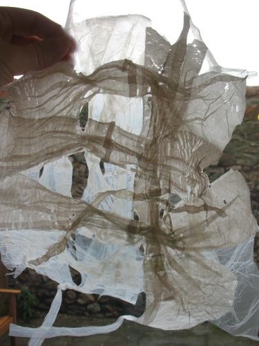 Plastic bag handles webbing.