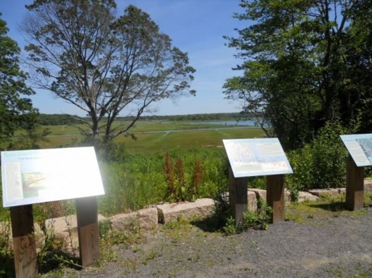 Interpretive signs -- as you look across the marsh