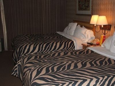 Adults Can Have Zebra Bedding Too!