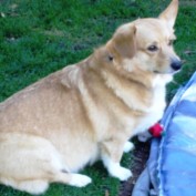 ddudz profile image