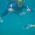 I normally don't post photos of myself on my blogs... but I couldn't rests showing this photo of me swimming with the fish around the Whitsundays! I normally don't post photos of myself on my blogs... but I couldn't rests showing this photo of me swimming with the fish around the Whitsundays!