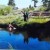 At the fishing hole along Convict Creek. At the fishing hole along Convict Creek.