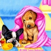 Petlife profile image