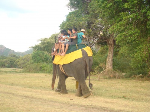 join with other travelers and have a wonderful ride on the giants. Life time experience.