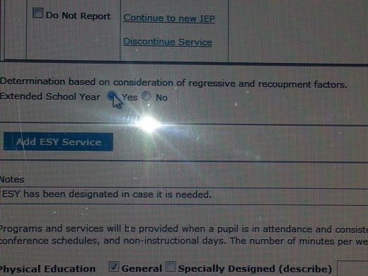 From the service page of an electronic IEP page.