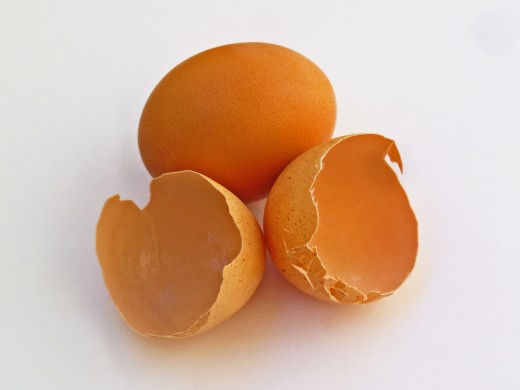 Eggshells contain phosphorus and magnesium, both essential elements for plant growth.