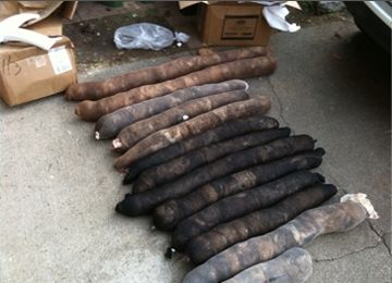 Hair booms made from donated hair/fur and donated used nylons