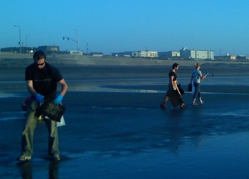 Volunteers on Ocean Beach San Francisco use hair mats to clean the oil