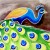 The white outline on feathers and bird are drawn in before the painting is done. The white outline on feathers and bird are drawn in before the painting is done.